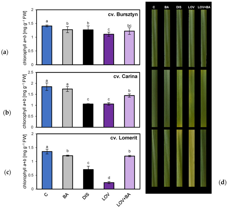 Figure 15