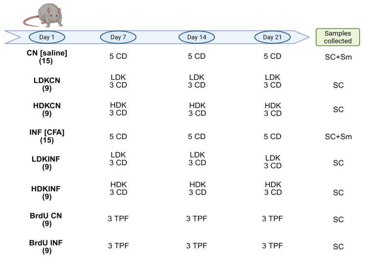 Figure 13