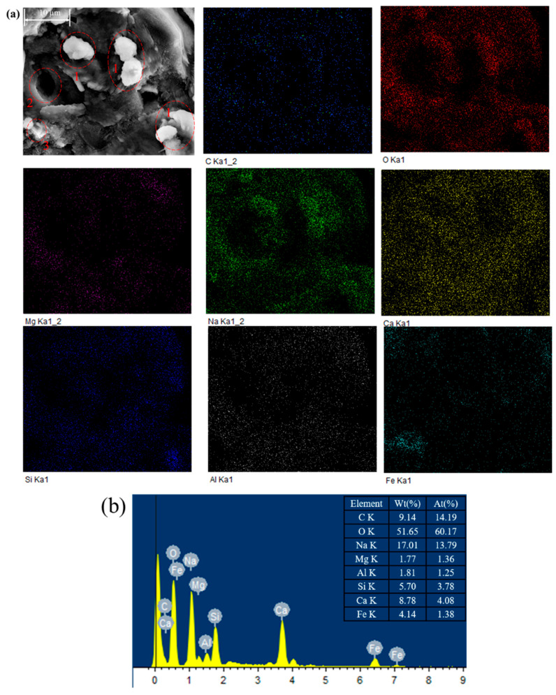 Figure 13