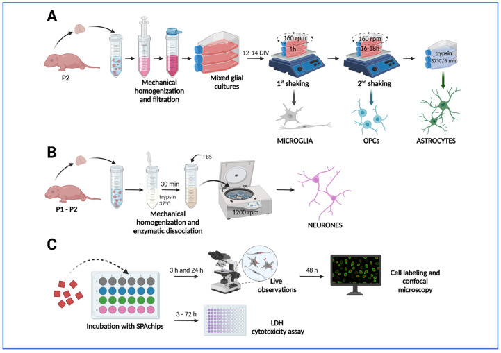 Figure 12