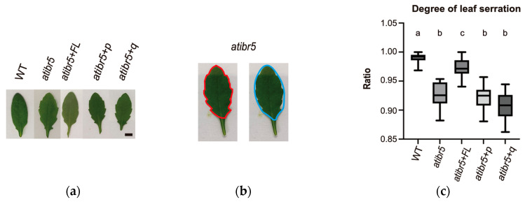 Figure 5