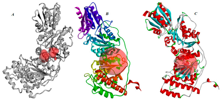Figure 15