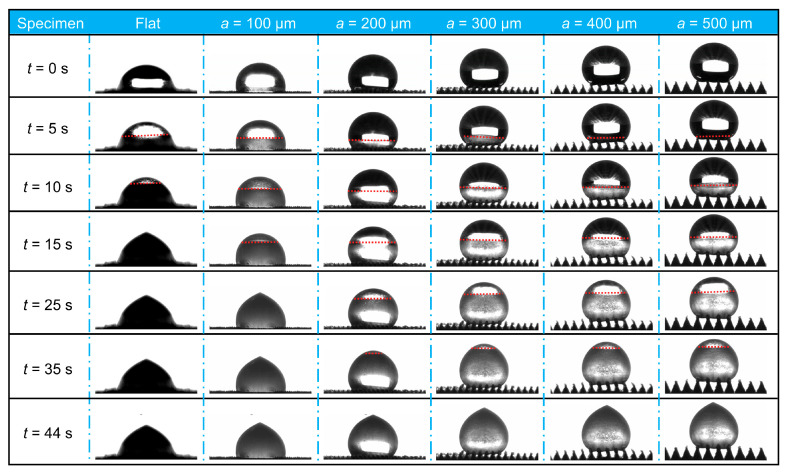 Figure 13