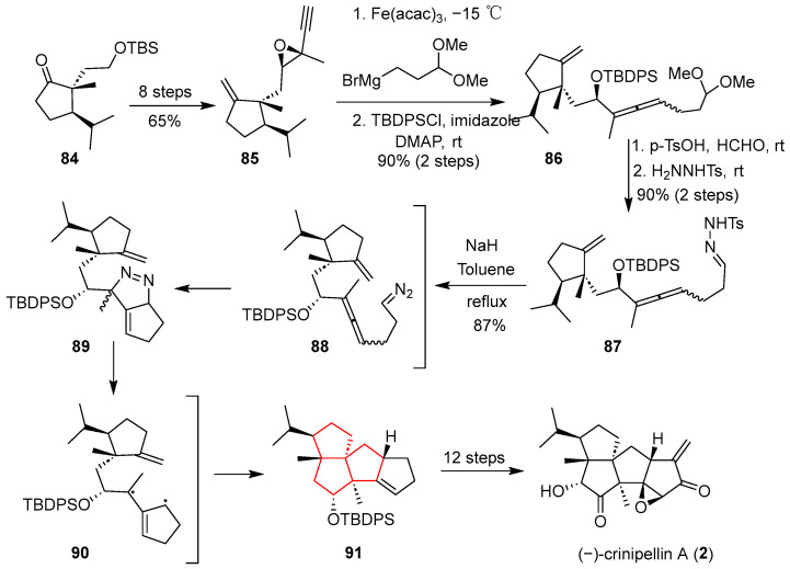Figure 13