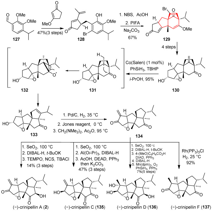 Figure 19