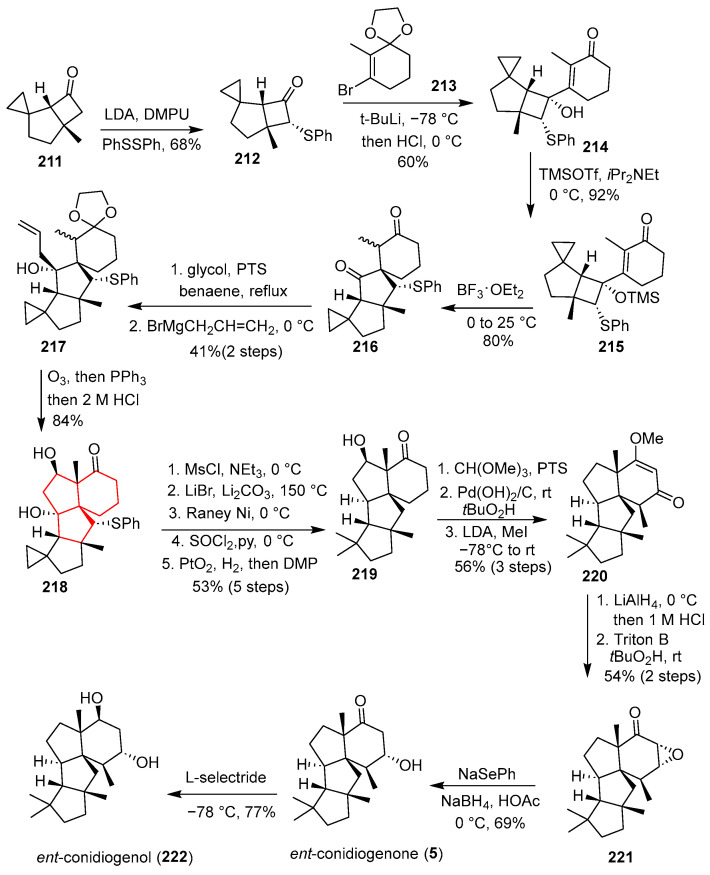 Figure 31