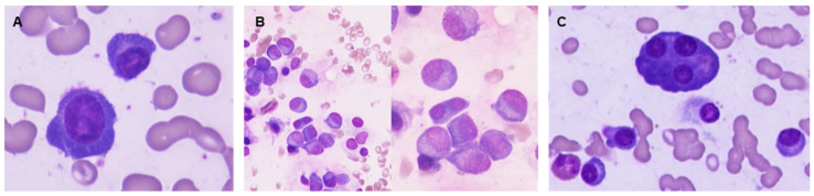 Figure 5