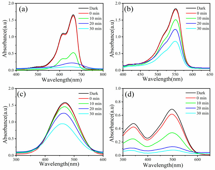 Figure 11