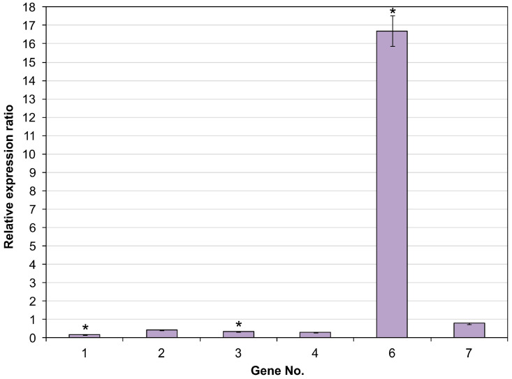 Figure 5