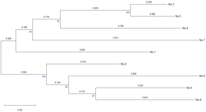 Figure 6
