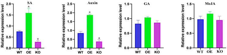 Figure 10
