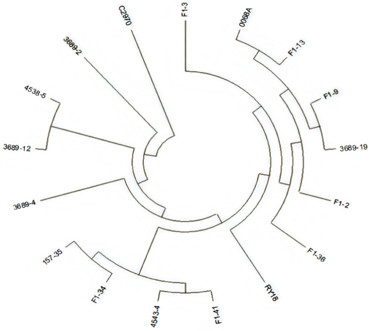 Figure 5