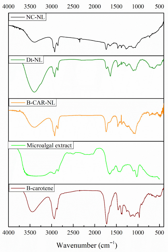 Figure 13