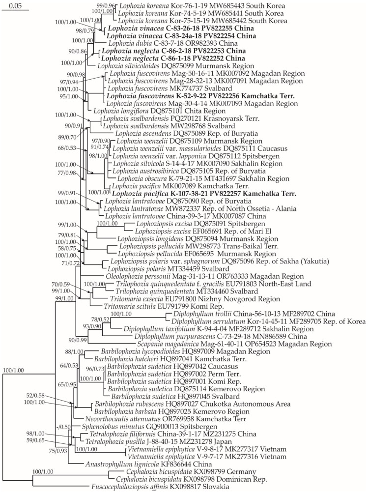 Figure 11