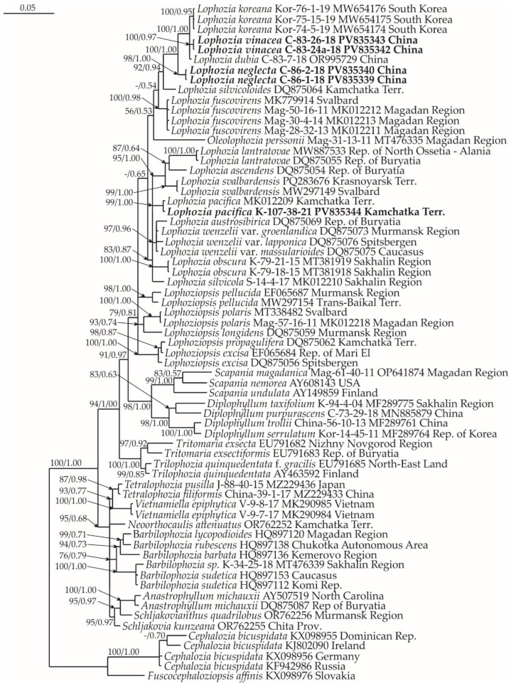 Figure 12