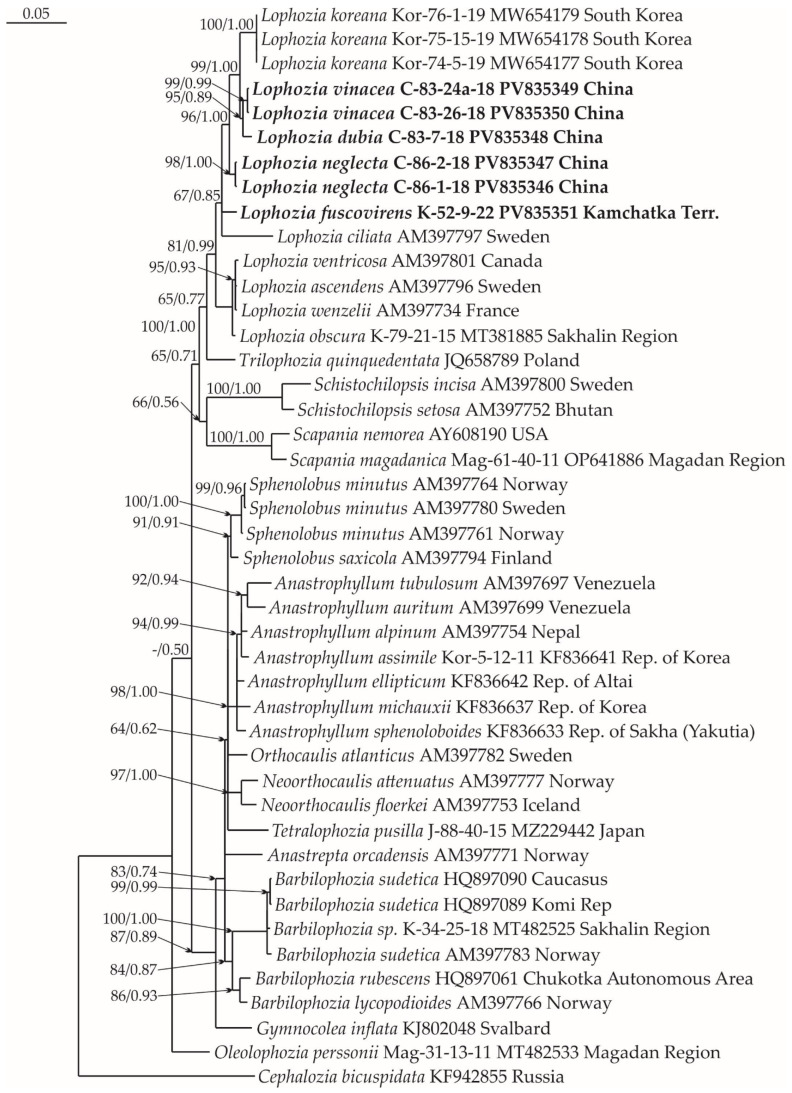 Figure 13