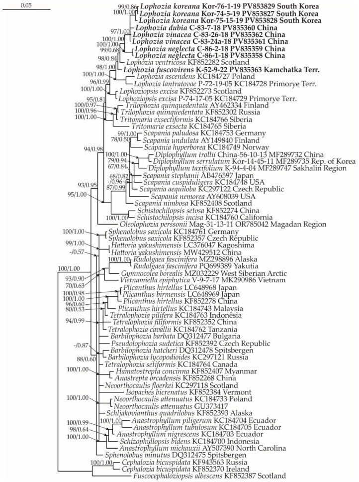 Figure 14