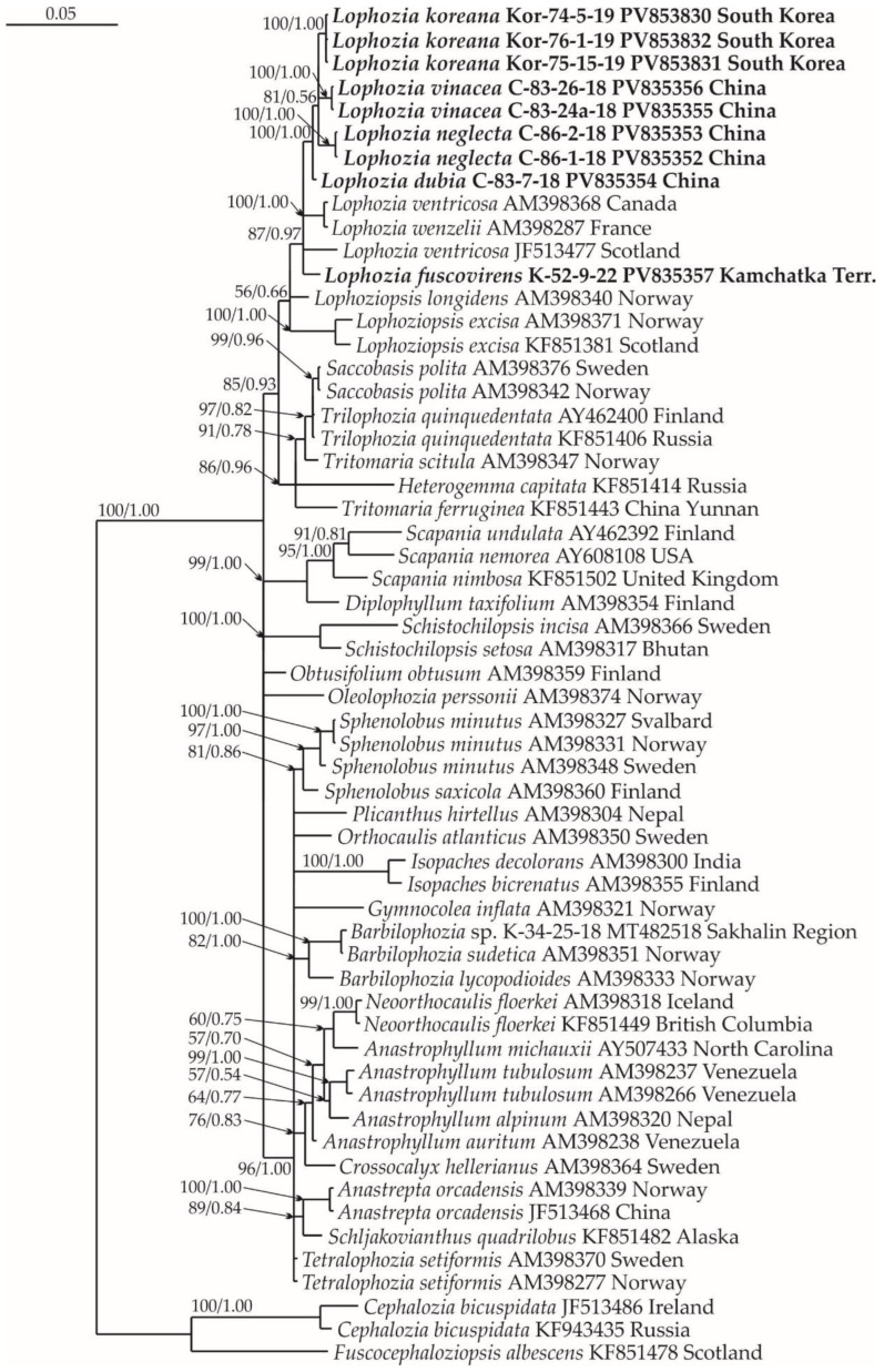 Figure 15