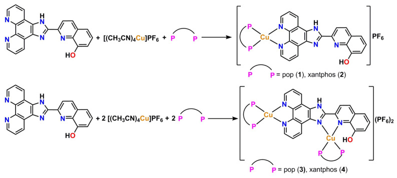 Figure 12