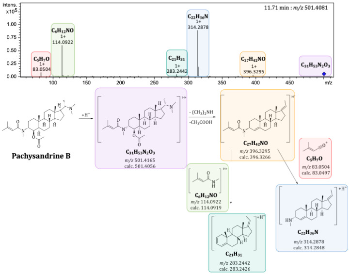Figure 6