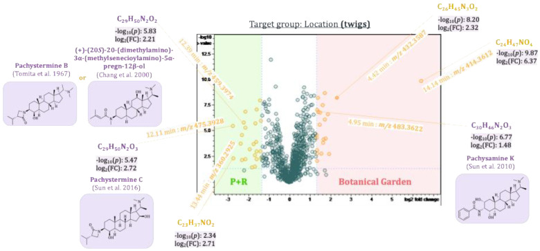 Figure 12
