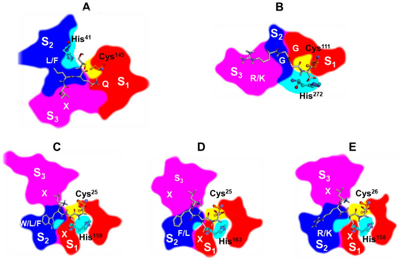 Figure 12