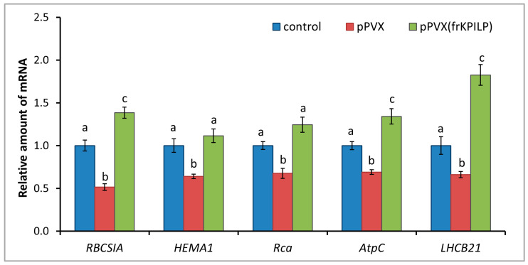Figure 7