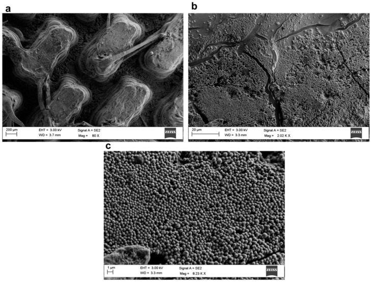 Figure 14