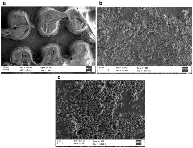Figure 15