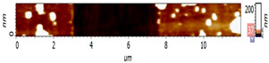 Figure 13