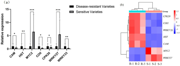 Figure 7