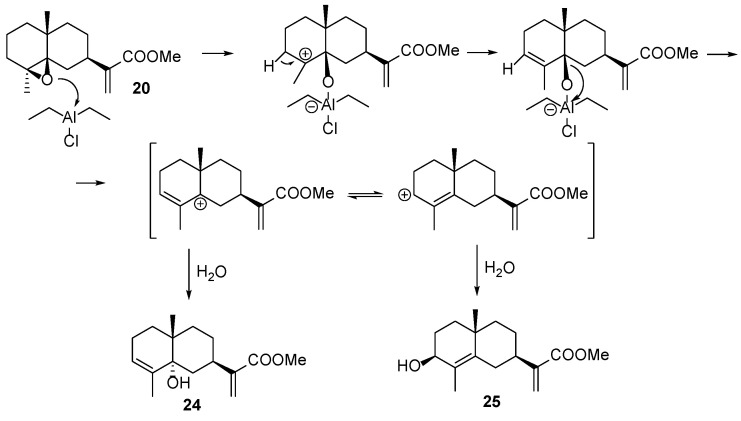 Figure 17