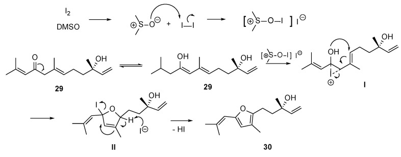 Figure 20
