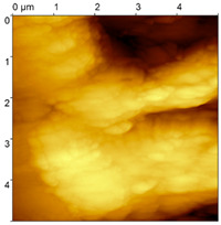 Figure 8