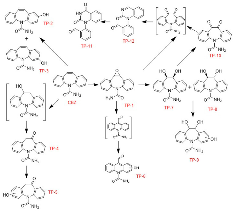 Figure 12