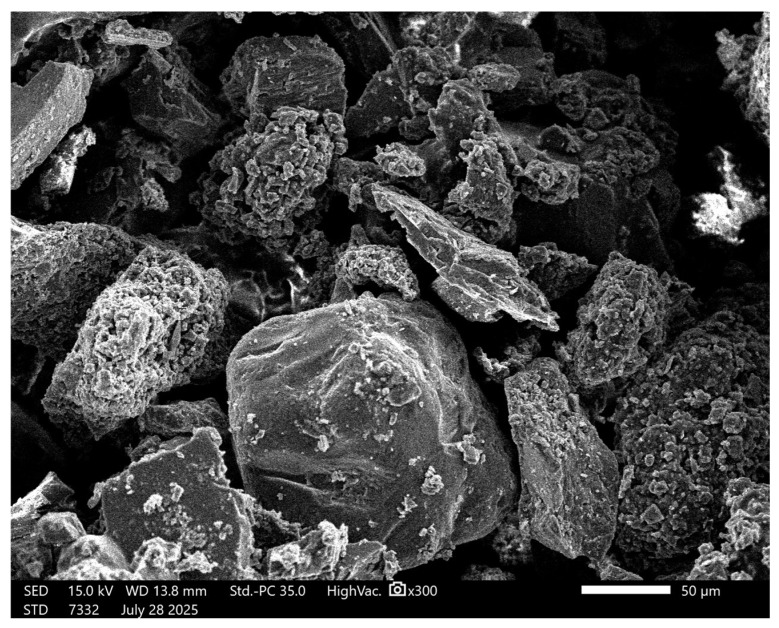 Figure 11