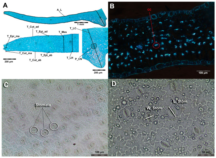 Figure 10