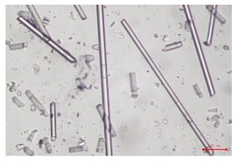 Figure 16