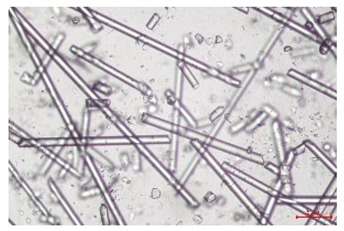 Figure 17