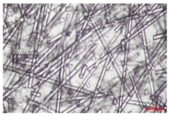Figure 18