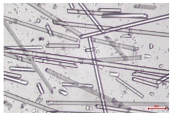 Figure 19