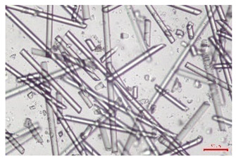 Figure 20