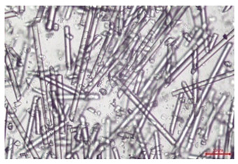 Figure 21