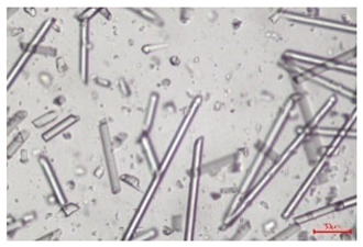 Figure 22