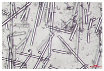 Figure 23