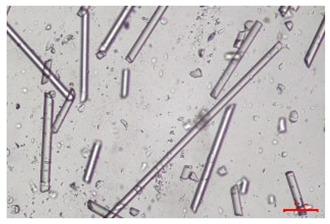 Figure 25