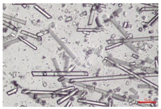 Figure 26