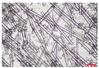 Figure 27
