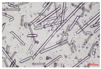 Figure 28