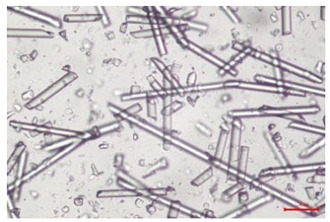 Figure 29